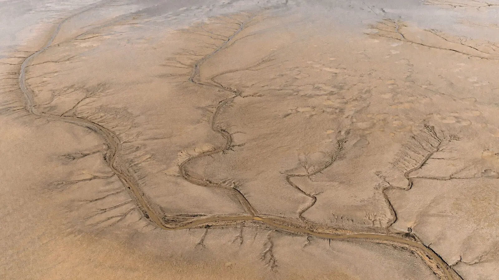 Veduta dall'alto dell'alveo asciutto di un fiume, con i rami del letto disegnati sulla sabbia